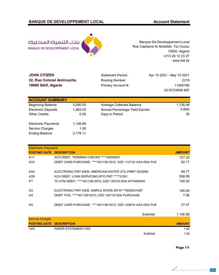 Hochwertige Herunterladen Algerien Lokale Entwicklungsbank Bank Kontoauszug Excel Photoshop Vorlage