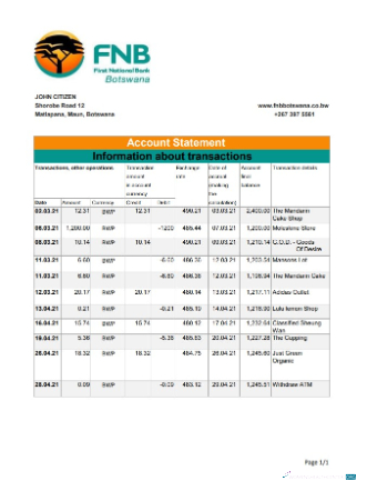 Hochwertige Herunterladen Botsuana FNB von Botsuana Bank Kontoauszug Excel Photoshop Vorlage
