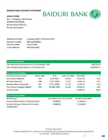 Realistische Herunterladen Brunei Baiduri Bank Kontoauszug Excel Photoshop Vorlage