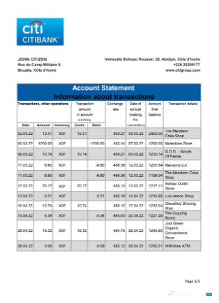 Realistische Herunterladen Côte D'Ivoire Citibank Bank Kontoauszug Excel Photoshop Vorlage