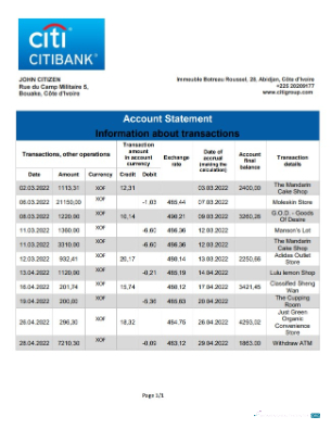 Herunterladen Côte D'Ivoire Citibank Bank Kontoauszug Word design