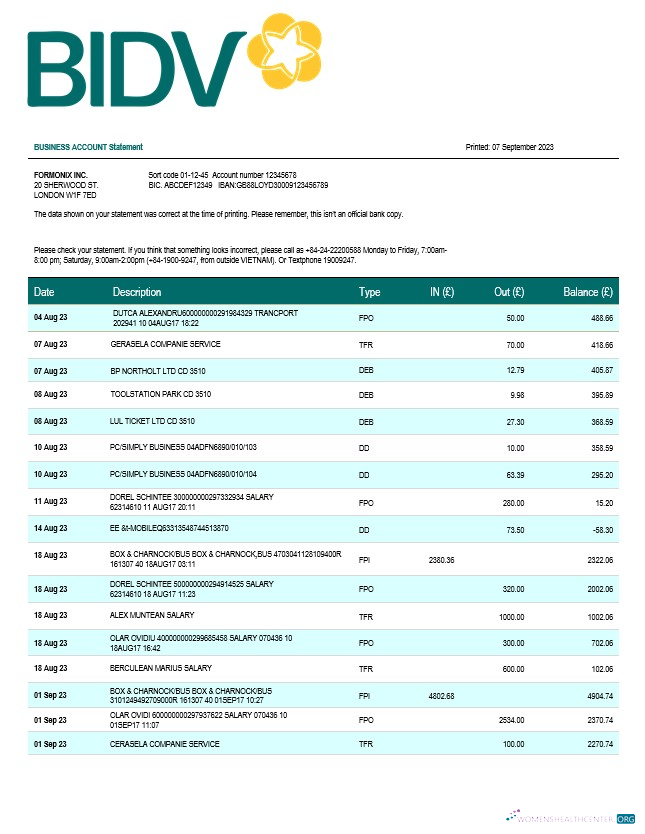 Qualité Banque pour Investissement et Développement de Viêt Nam (BIDV) Entreprise Relevé Word et PDF Modèle
