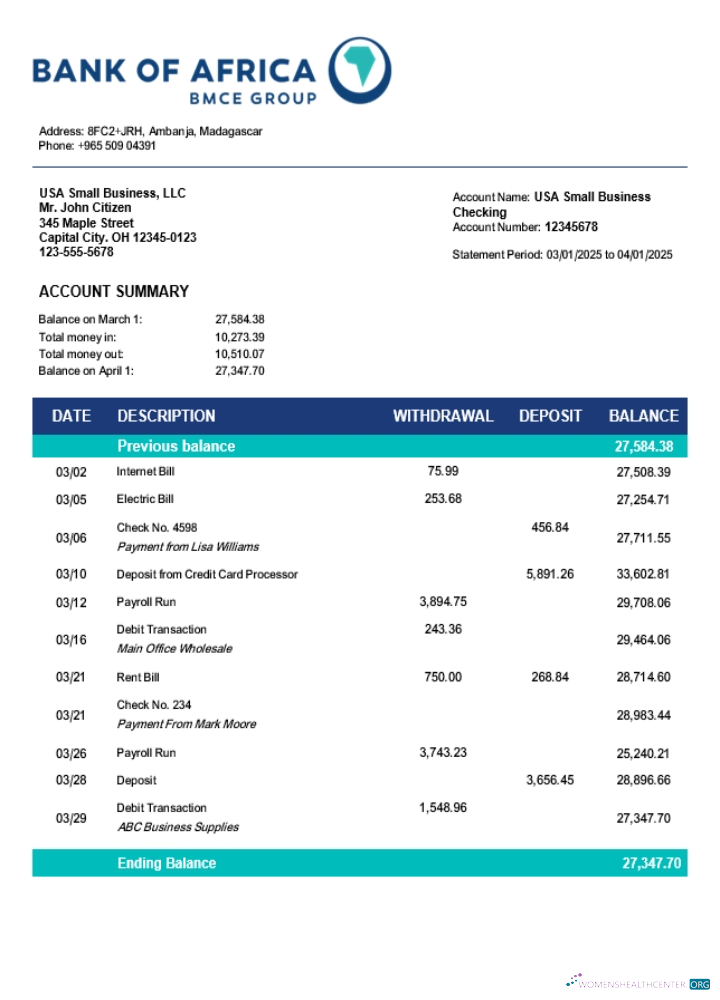 Professionnel Banque de Africa Organization Compte Chèque Compte Relevé Word et PDF Modèle (1)