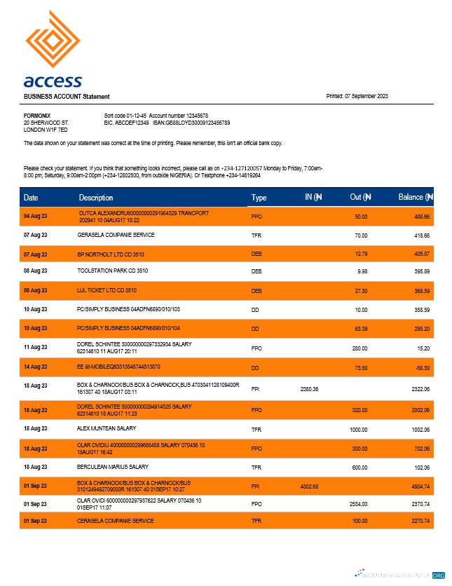 Premium Télécharger Access Banque Société Compte Chèque Compte Relevé Word et PDF Modèle Photoshop Modèle
