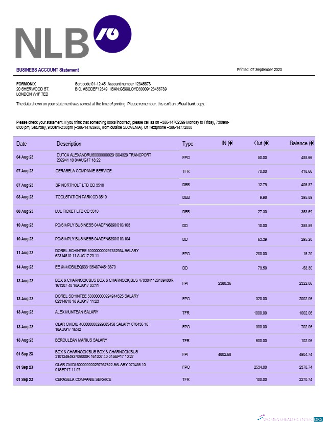 Modifiable Télécharger NLB Banque Firm Compte Relevé Word et PDF Modèle Photoshop Modèle