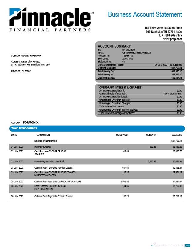 Réaliste Télécharger Pinnacle Financial Banque Firm Compte Relevé Word et PDF Modèle Photoshop Modèle