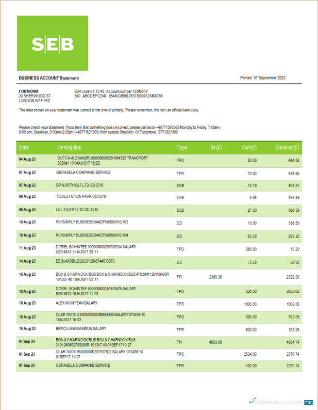 Premium Télécharger SEB Banque Société Relevé Word et PDF Modèle Photoshop Modèle