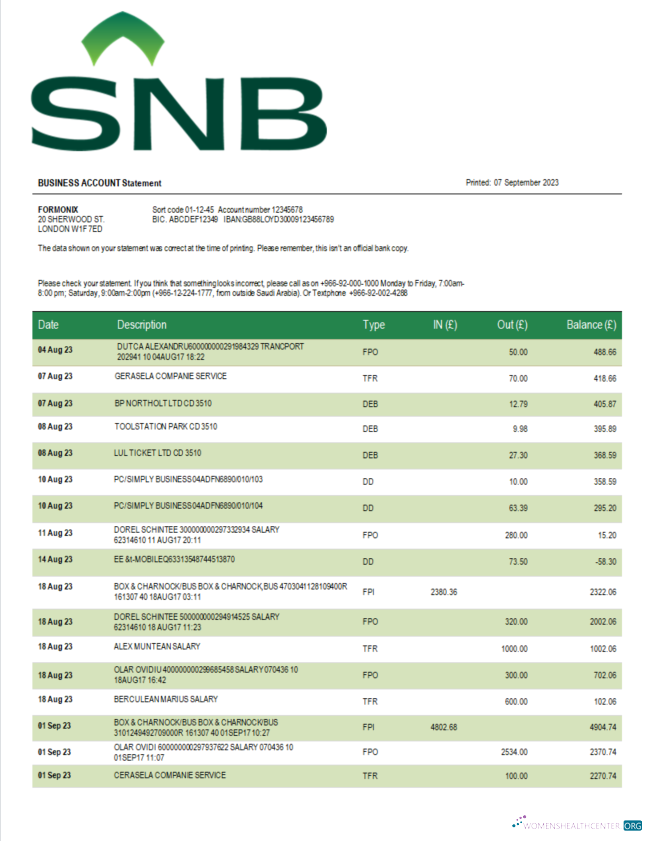 Modifiable Télécharger SNB Banque Enterprise Relevé Word et PDF Modèle Photoshop Modèle