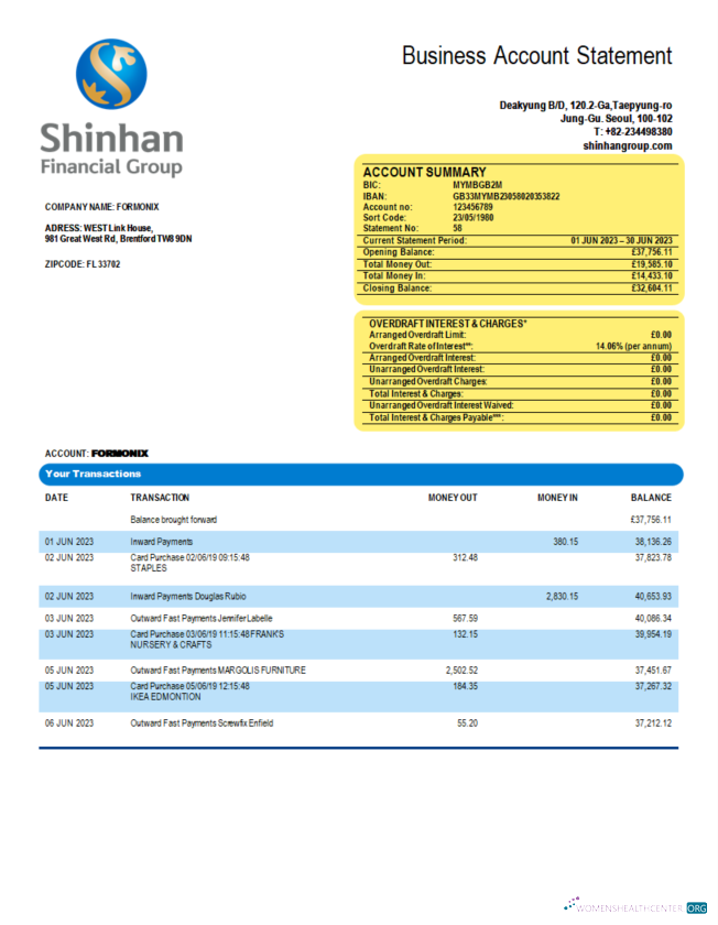 Professionnel Télécharger Shinhan Financial Group Enterprise Relevé Word et PDF Modèle Photoshop Modèle