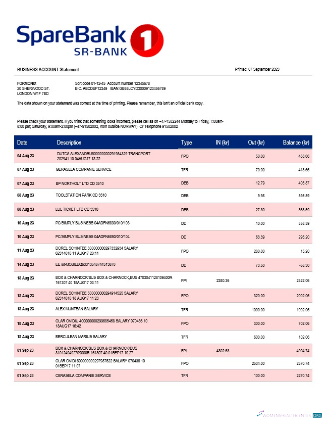 Réaliste Télécharger Sparebank 1 Sr B Enterprise Compte Relevé Word et PDF Modèle Photoshop Modèle