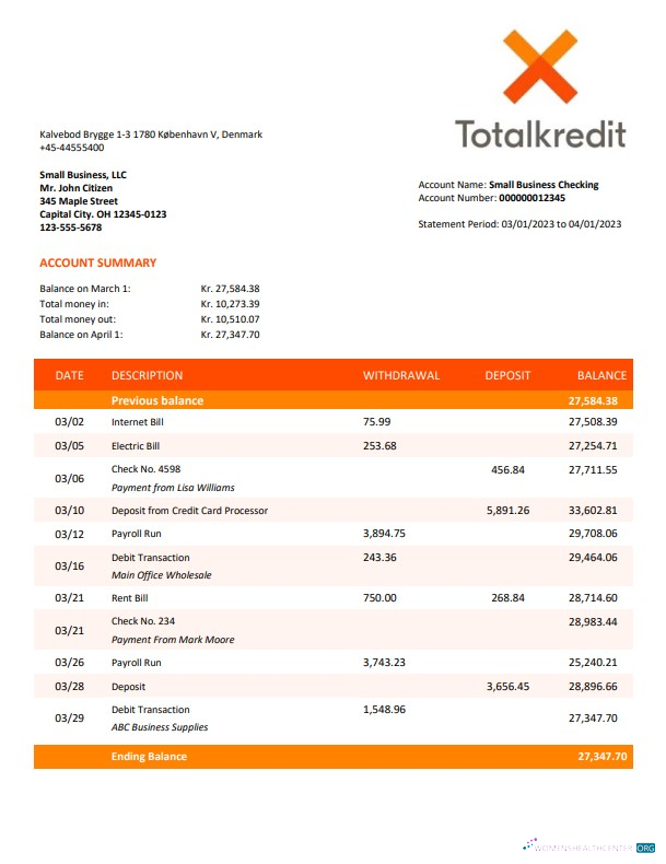 Qualité Télécharger Totalkredit Banque Organization Compte Relevé Word et PDF Photoshop Modèle