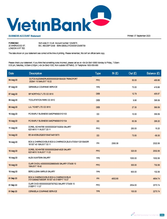 Premium Télécharger Vietin Banque Firm Compte Relevé Word et PDF Modèle Photoshop Modèle