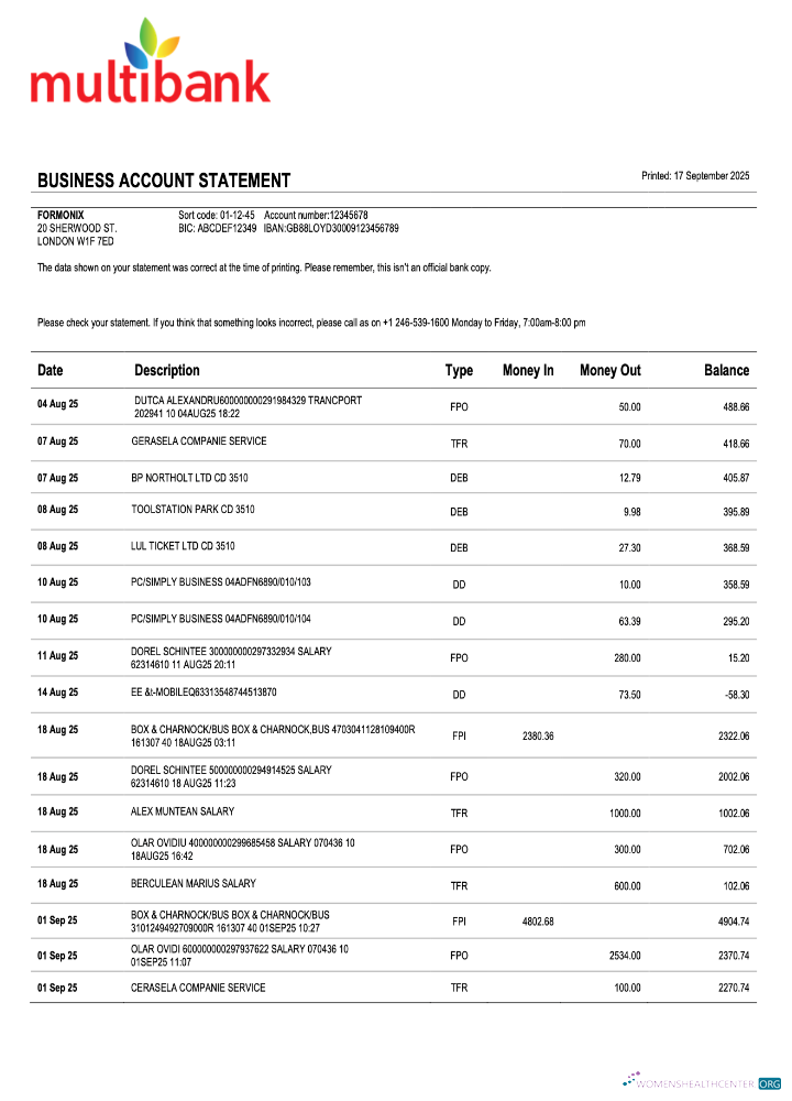 Premium Panama Multibank Organization Compte Chèque Compte Relevé Word et PDF Modèle