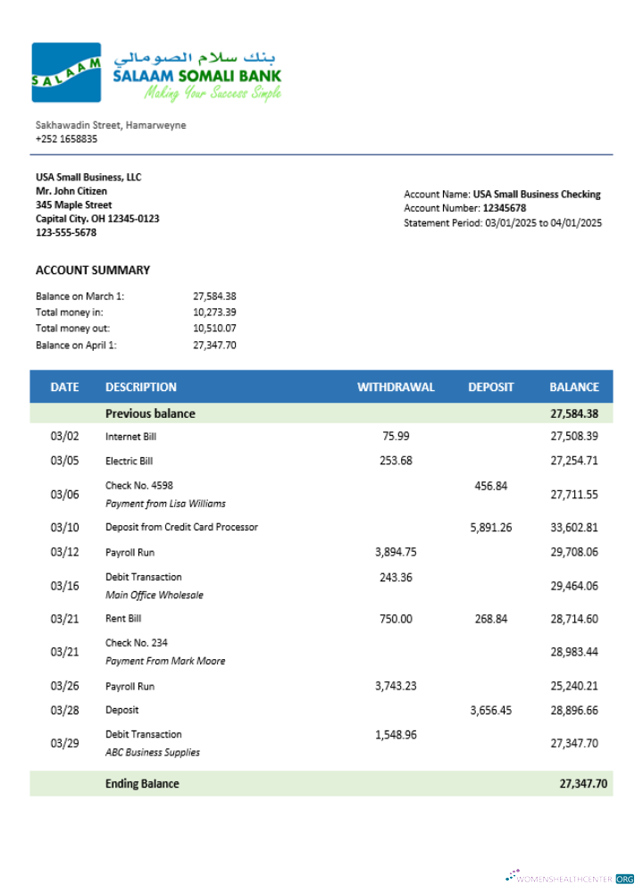 Professionnel Somali Salaam Somali Banque Entreprise Compte Chèque Compte Relevé Word et PDF Modèle