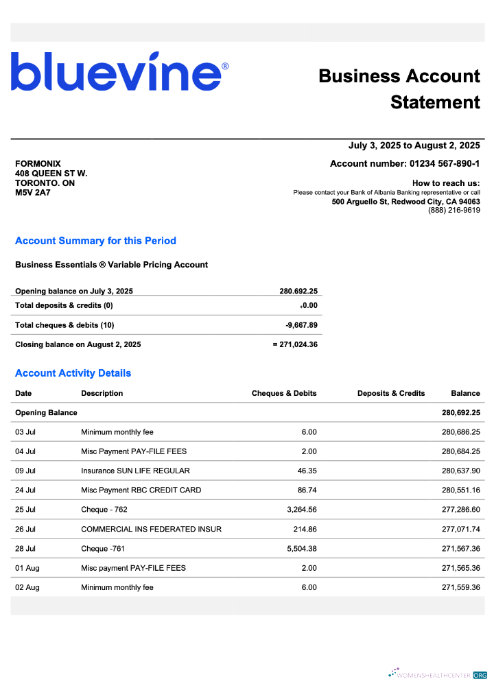 Modifiable USA California BlueVine Entreprise Compte Chèque Compte Relevé Word et PDF Modèle