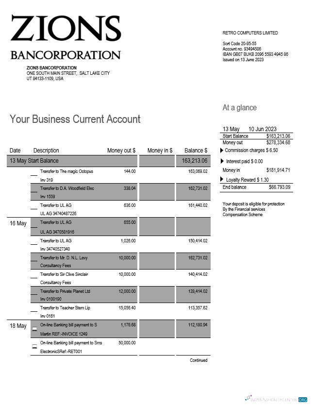Professionnel Zions Bancorporation Banque Entreprise Compte Chèque Compte Relevé Word et PDF Modèle