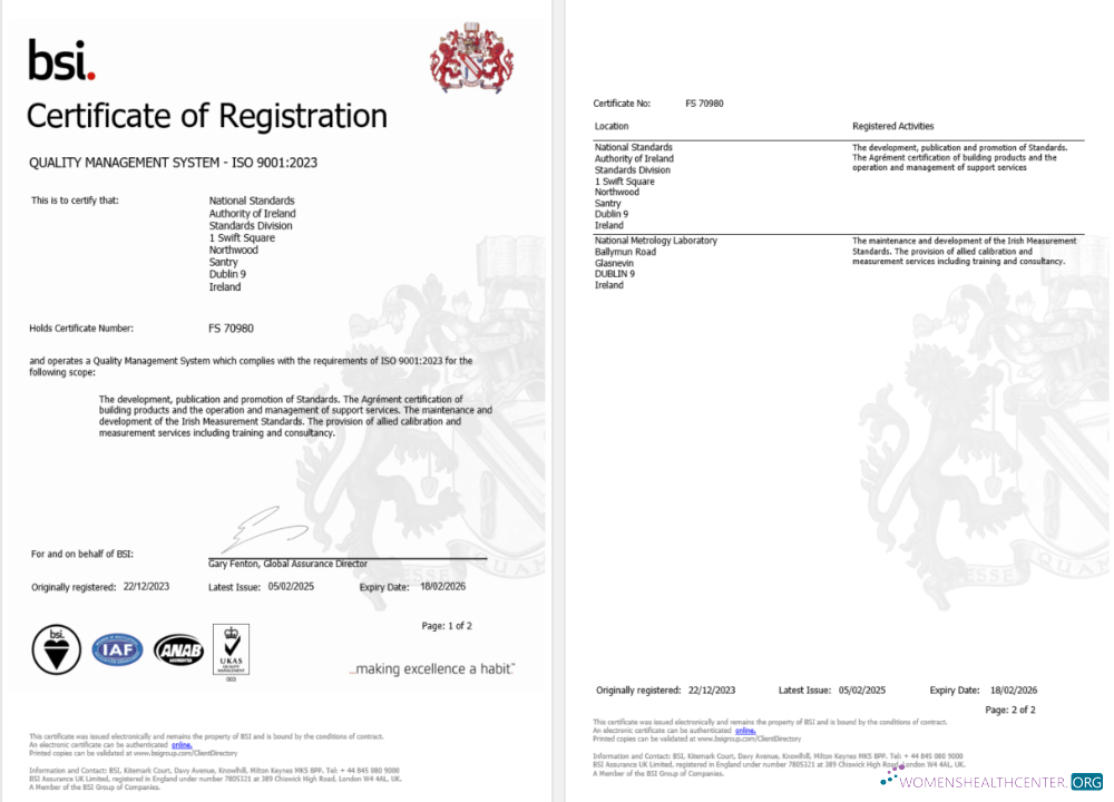Professionelle Irland Dublin BSI Certificate von Registration Word und PDF Vorlage