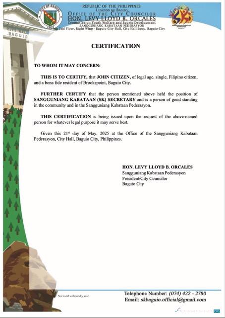 Professionelle Philippinen Certificate von Good Standing Word und PDF Vorlage, Version 8
