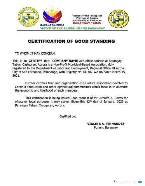 Premium Philippinen Certification von Good Standing Word und PDF Vorlage, Version 4