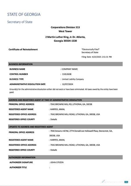 Professionelle USA Georgien Certificate von Reinstatement Word und PDF Vorlage, Version 2
