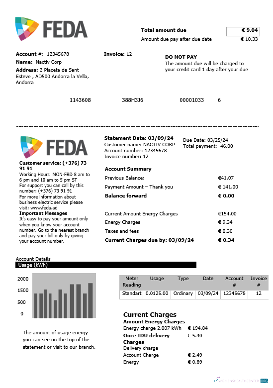 Realistische Andorra Electric Forces von Andorra Geschäftlich Nebenkostenabrechnung Vorlage in Word und PDF Formats