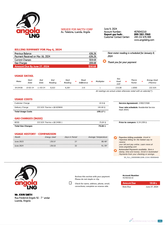 Hochwertige Angola LNG Nachweis von Adresse Geschäftlich Nebenkostenabrechnung Vorlage in Word und PDF Format