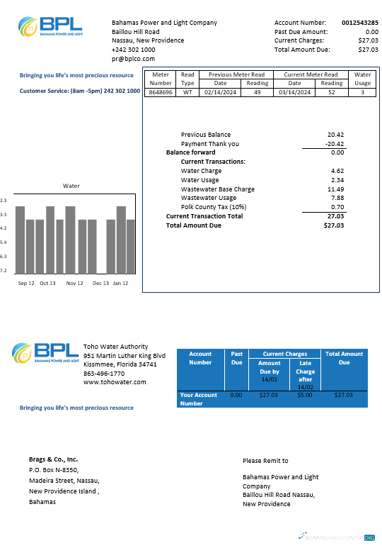 Premium Bahamas Power und Light Unternehmen Geschäftlich Nebenkostenabrechnung Vorlage in Word und PDF Format