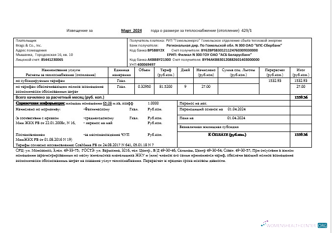 Hochwertige Weißrussland Gomel Energo Geschäftlich Nebenkostenabrechnung Vorlage in .doc und .PDF Format, Fully Editable