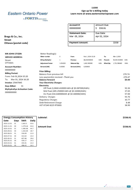 Realistische Kanada Eastern Ontario Power Geschäftlich Nebenkostenabrechnung Vorlage in Word und PDF Formats