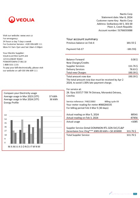 Czechia Veolia Energy Tschechien Republik Energy Geschäftlich Nebenkostenabrechnung in Word und PDF Formats1 vorlage