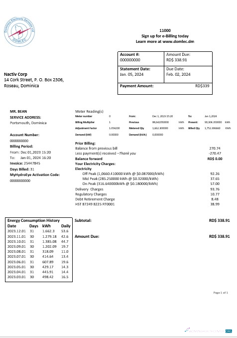 Dominica Strom Services GmbH Strom Geschäftlich Nebenkostenabrechnung Word und PDF Formats vorlage