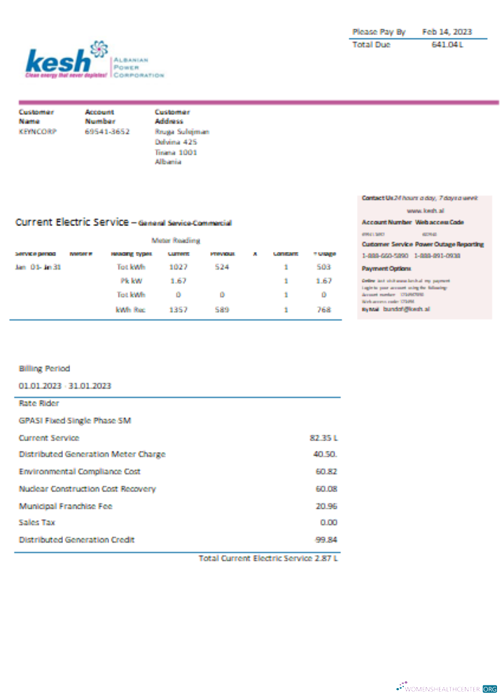 Realistische Herunterladen Albanian Power Konzern Utility Geschäftlich Bill, SCR Photoshop Vorlage