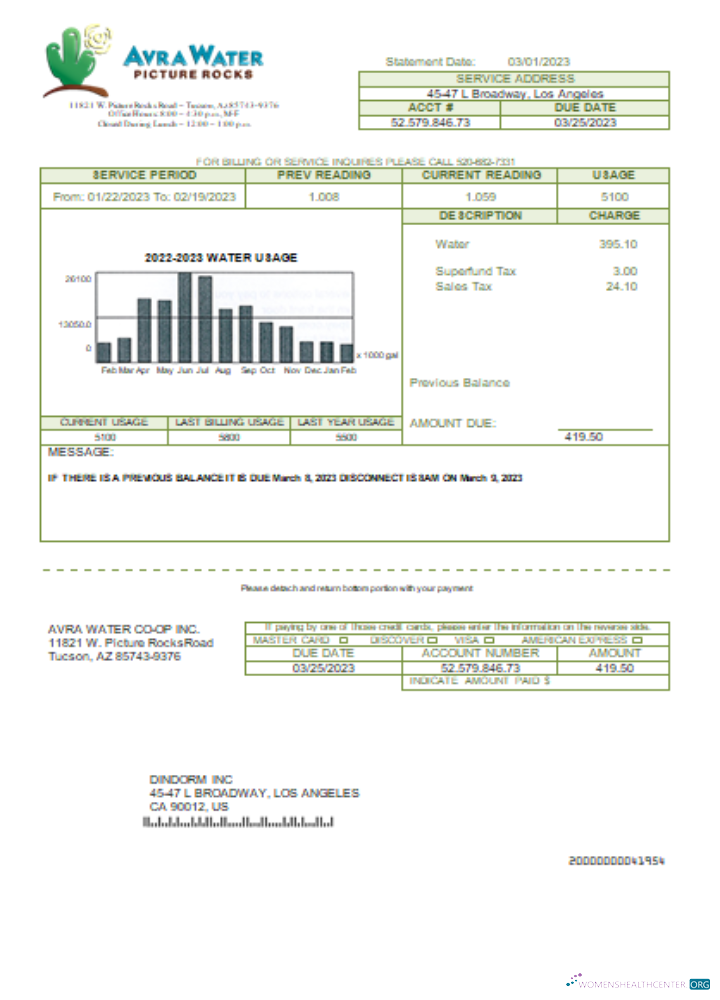 Premium Herunterladen Avra Wasser Co Op Utility Geschäftlich Bill, SCR Photoshop Vorlage