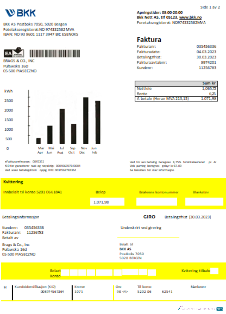 Editierbare Herunterladen BKK Strom Utility Geschäftlich Bill SCR Photoshop Vorlage