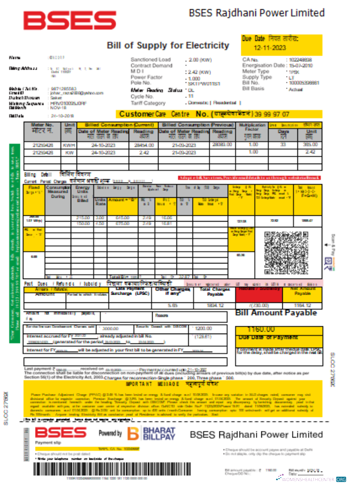 Professionelle Herunterladen BSES Rajdhani Power GmbH Strom Utility Geschäftlich Bill, SCR Photoshop Vorlage