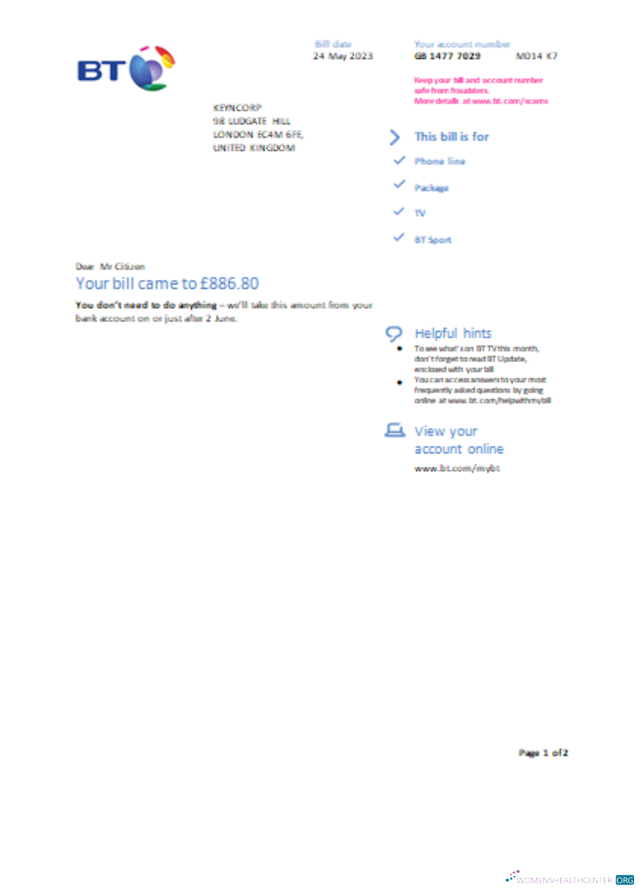 Premium Herunterladen BT Utility Geschäftlich Bill, Seite 1 SCR Photoshop Vorlage