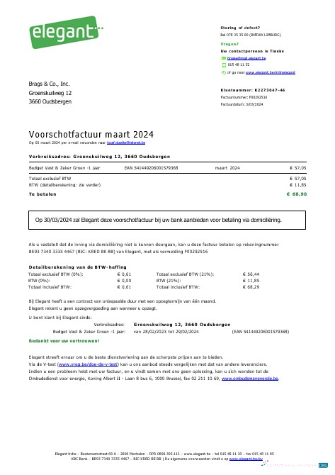 Editierbare Herunterladen Belgien Elegant Geschäftlich Nebenkostenabrechnung Word und PDF Vorlage Photoshop Vorlage
