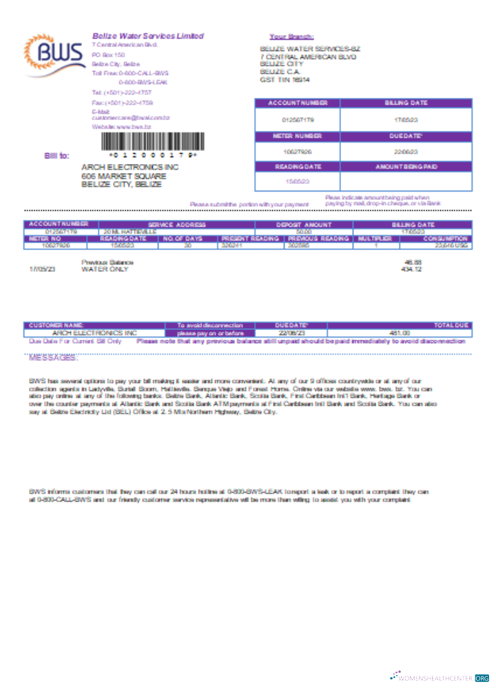 Hochwertige Herunterladen Belize Wasser Services GmbH Utility Geschäftlich Bill, SCR Photoshop Vorlage