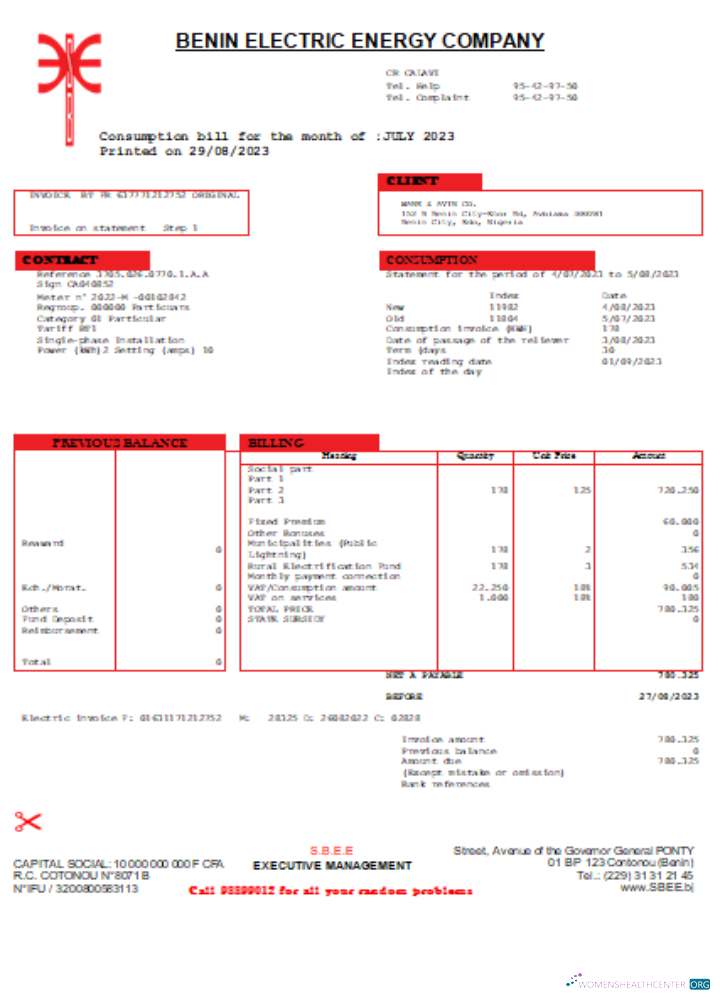 Realistische Herunterladen Benin Strom Verteilung Unternehmen Plc. Utility Geschäftlich Bill SCR Photoshop Vorlage