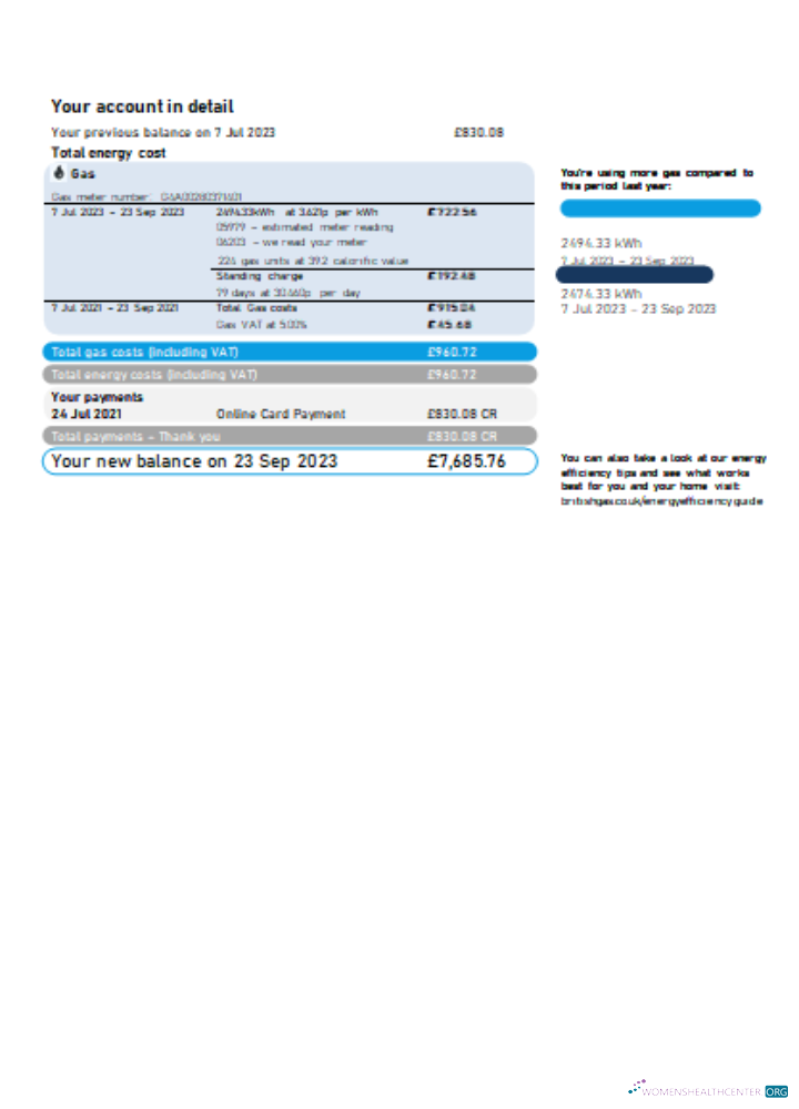 Professionelle Herunterladen British Gas Energy Utility Geschäftlich Bill SCR Seite 2 Photoshop Vorlage