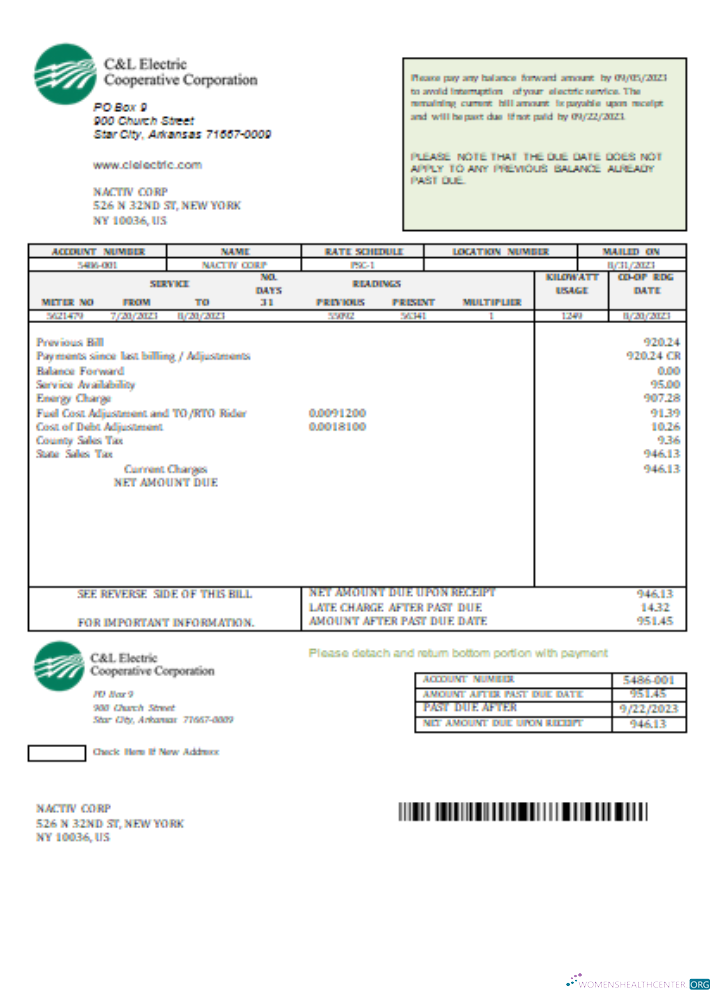Realistische Herunterladen C & L Electric Cooperative Konzern Utility Geschäftlich Bill,SCR Photoshop Vorlage