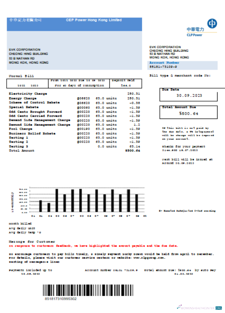 Editierbare Herunterladen CLP Power Hong Kong GmbH Utility Geschäftlich Bill, SCR Photoshop Vorlage