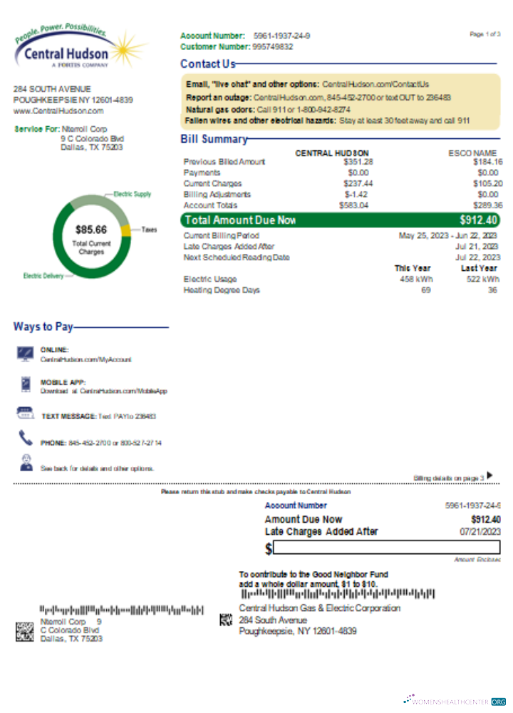 Professionelle Herunterladen Zentral Hudson Energy Group Utility Geschäftlich Bill, Seite 1, SCR Photoshop Vorlage