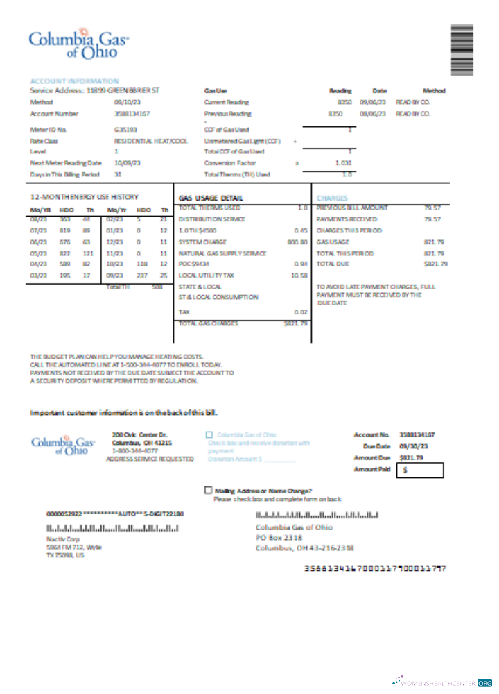 Realistische Herunterladen Columbia Gas von Ohio Utility Geschäftlich Bill, SCR Photoshop Vorlage