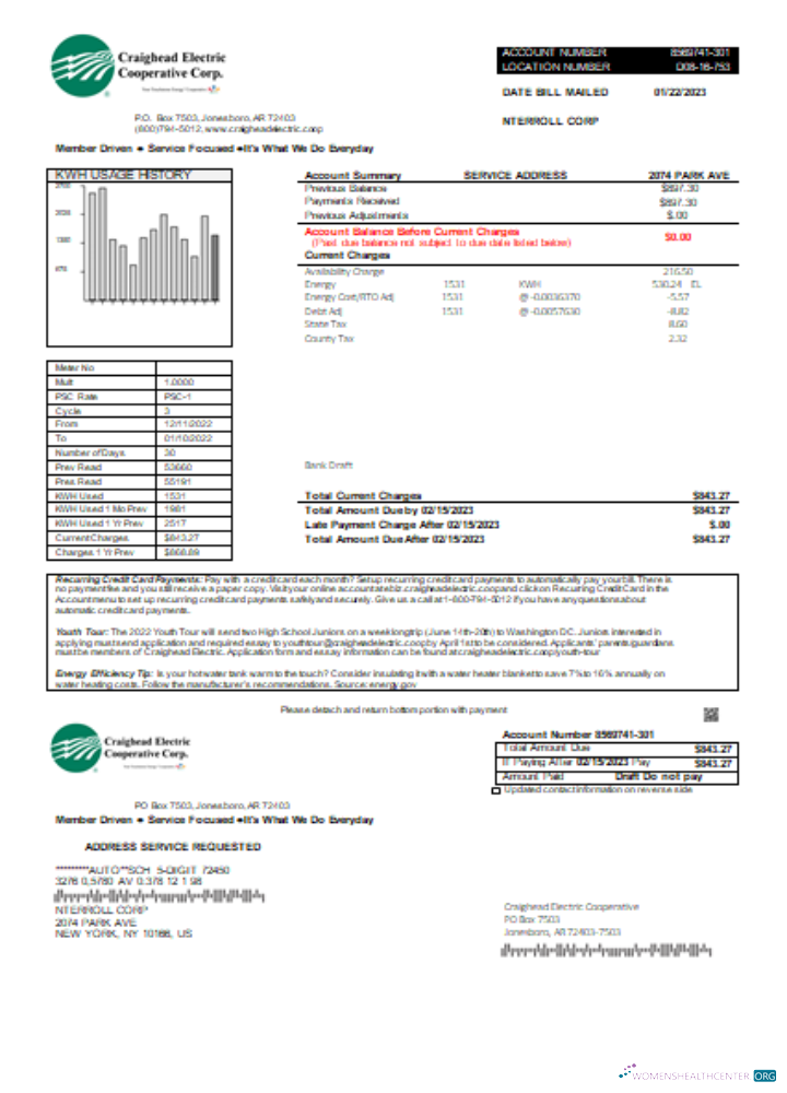 Hochwertige Herunterladen Craighead Electric Cooperative Utility Geschäftlich Bill, SCR Photoshop Vorlage