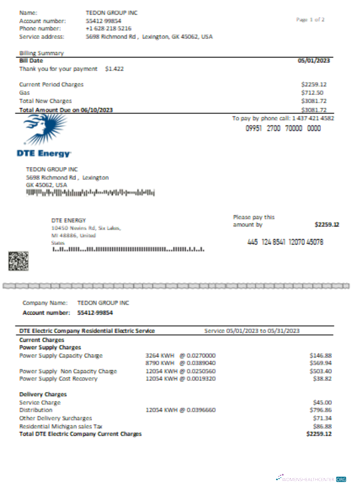Premium Herunterladen DTE Energy Utility Geschäftlich Bill SCR Seite 1 Photoshop Vorlage