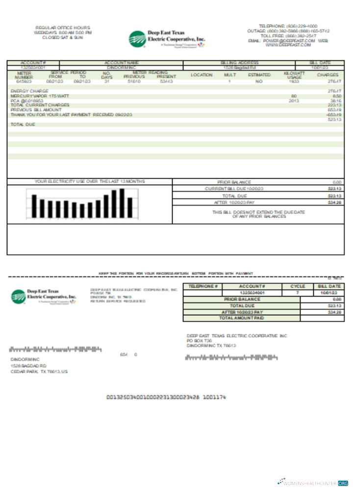 Editierbare Herunterladen Deep Ost Texas Electric Utility Geschäftlich Bill, SCR Photoshop Vorlage