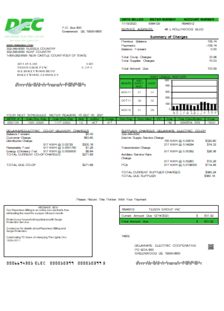 Premium Herunterladen Delaware Electric Co Op Utility Geschäftlich Bill, SCR Photoshop Vorlage