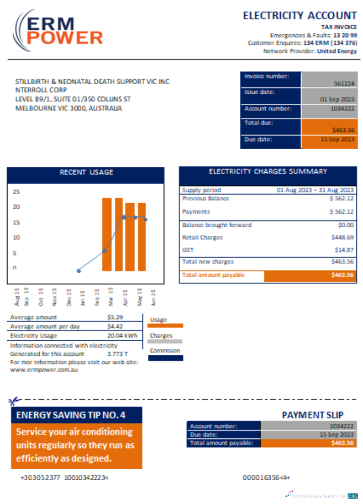 Editierbare Herunterladen ERM Power Strom Nachweis von Adresse Utility Geschäftlich Bill, SCR Photoshop Vorlage