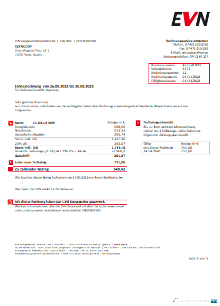 Hochwertige Herunterladen EVN Strom Utility Geschäftlich Bill, Seite 1 SCR Photoshop Vorlage
